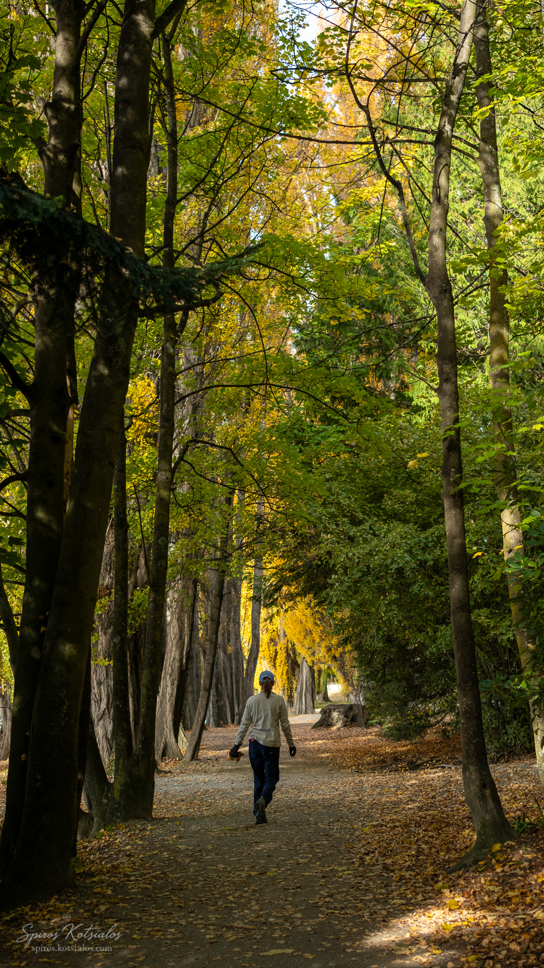 Walk along the paths near the famous Wanaka tree